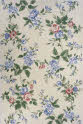 Momeni SPENCSP-09IVY